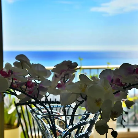 Apartment Sirius View